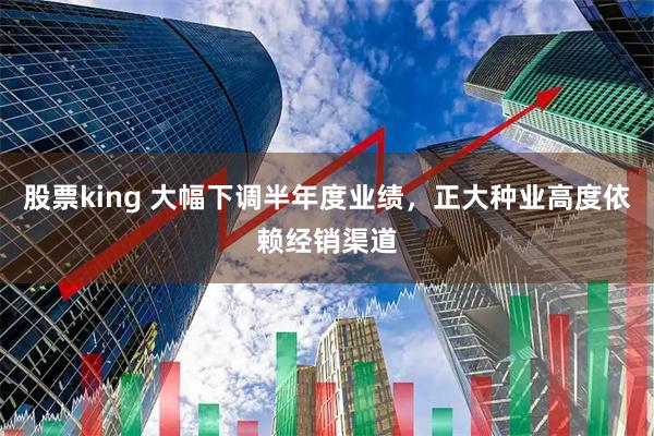 股票king 大幅下调半年度业绩，正大种业高度依赖经销渠道