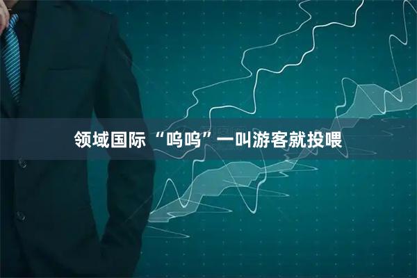 领域国际 “呜呜”一叫游客就投喂